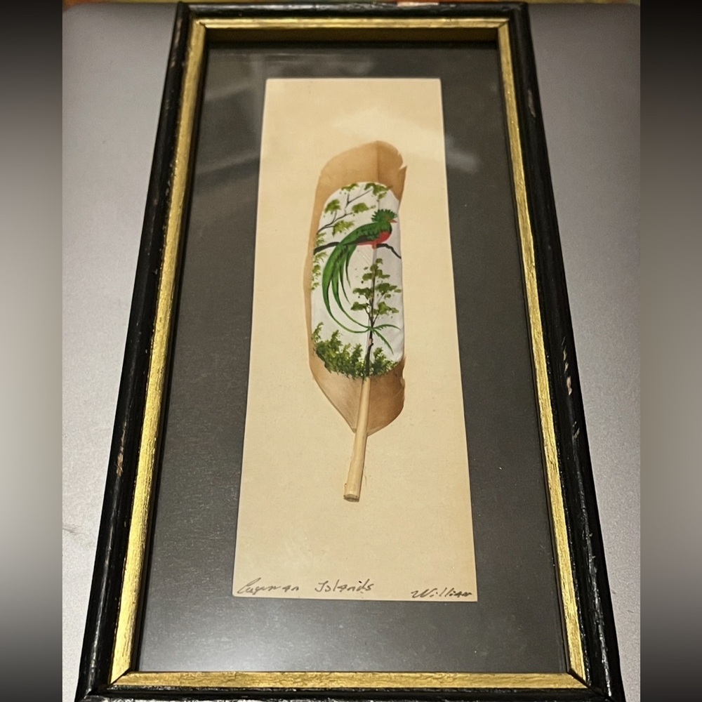 Hand Painted Framed Feather Art with Bird Design